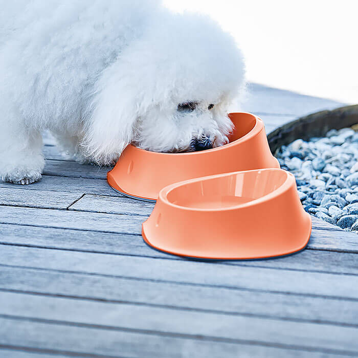 Food & Water Bowl