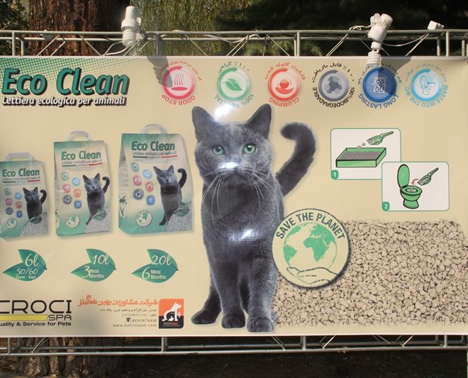 635857814535713445CROCI_8290