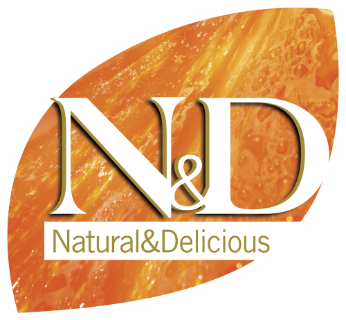 logo-N&D-Pumpkin@editable logo-N&D-Pumpkin@editable